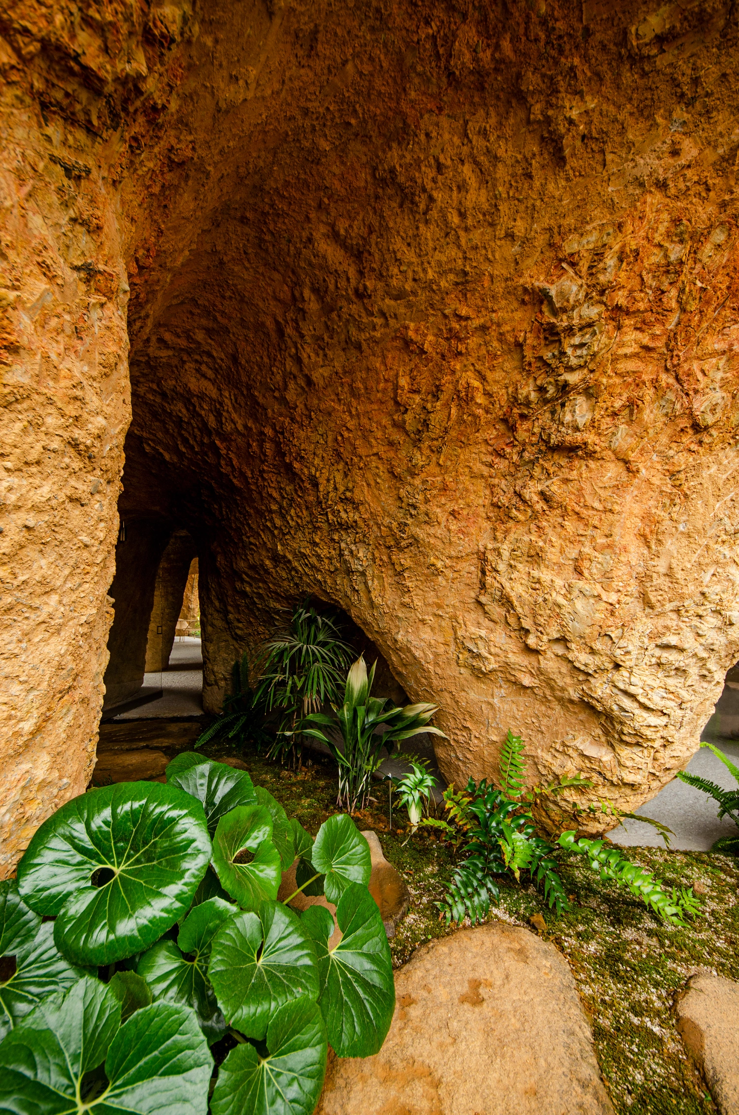 House & Restaurant by Junya Ishigami, japan, architecture, concrete, organic, restaurant