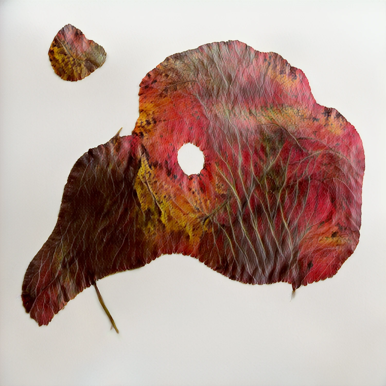 Selected AI works by Helena Sarin, AI, art, GAN, fashion, photography