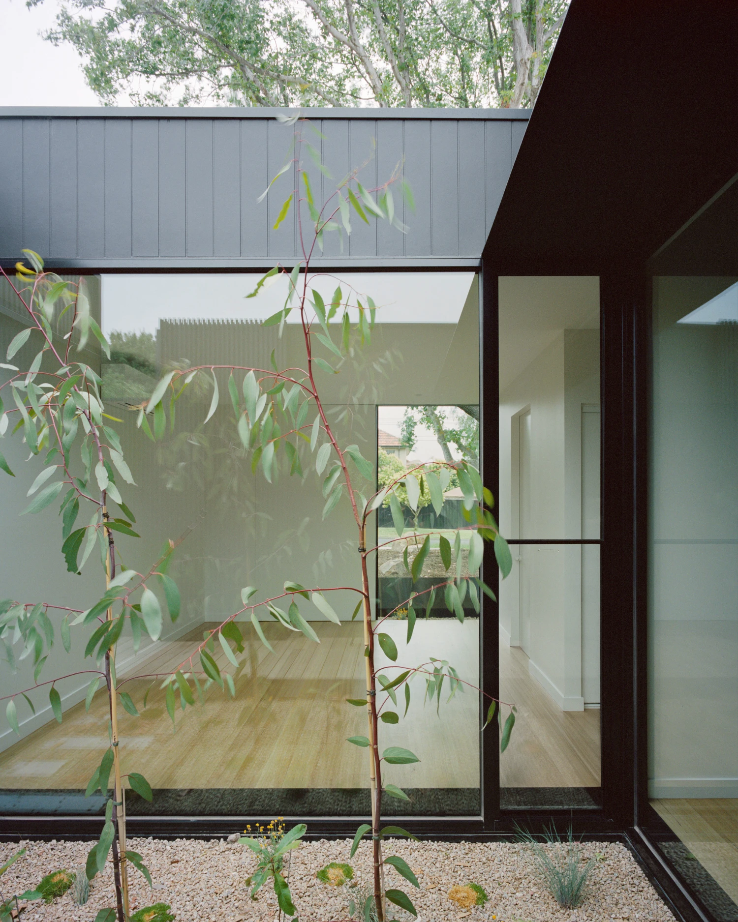 Sandringham House by Ellul Architecture, familyhouse, architecture, minimalism, black, steel