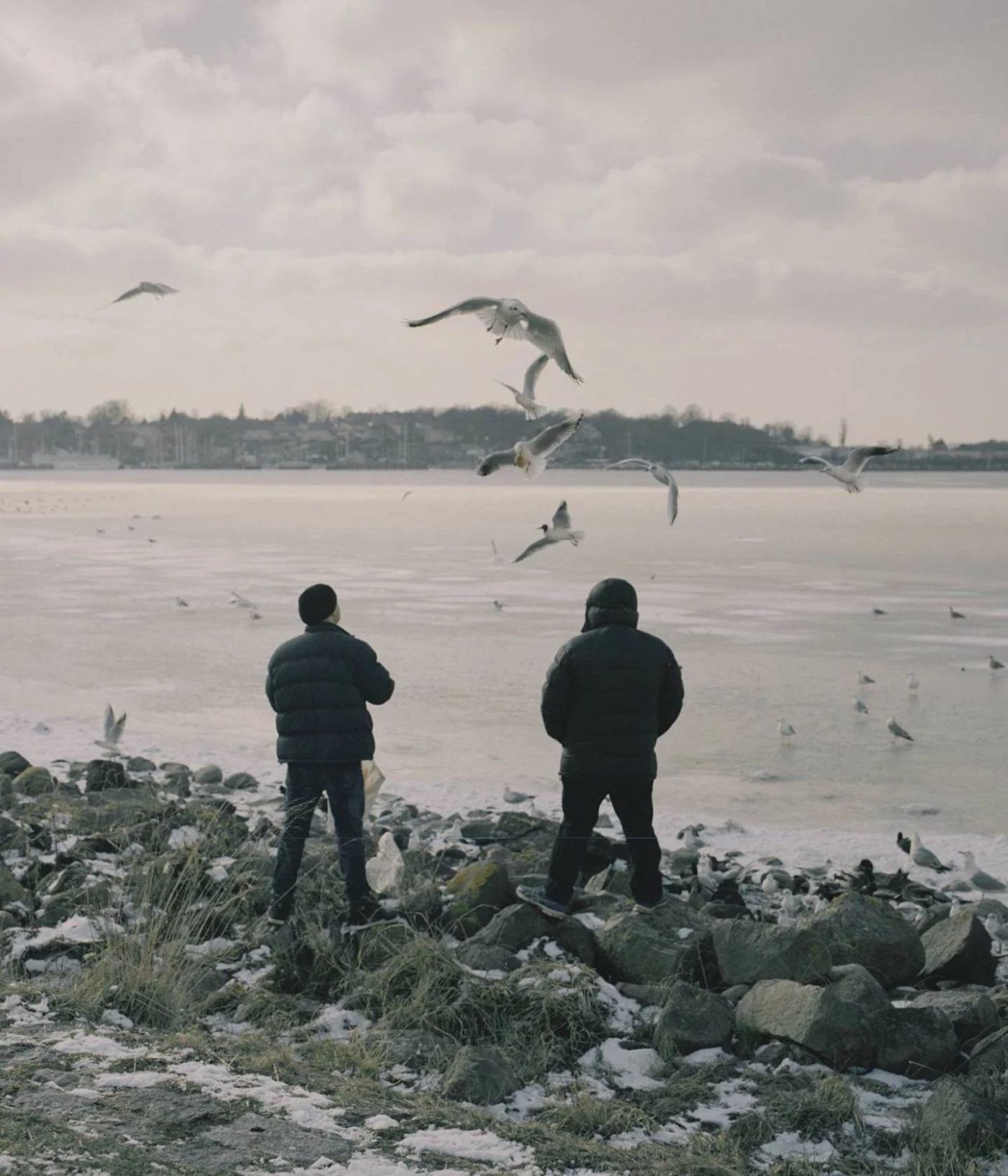 KYSTLAND by Urlik Hasemann and Mathias Svold, documentary, photography, sustainable, landscape