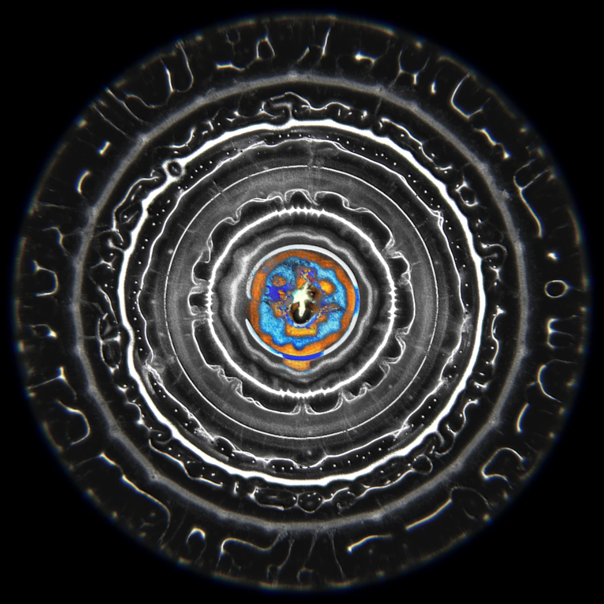 Ethereal Microcosm by ciphrd — Concentric circular composition with high radial symmetry, dominated by branching dendritic networks in white and gray tones.