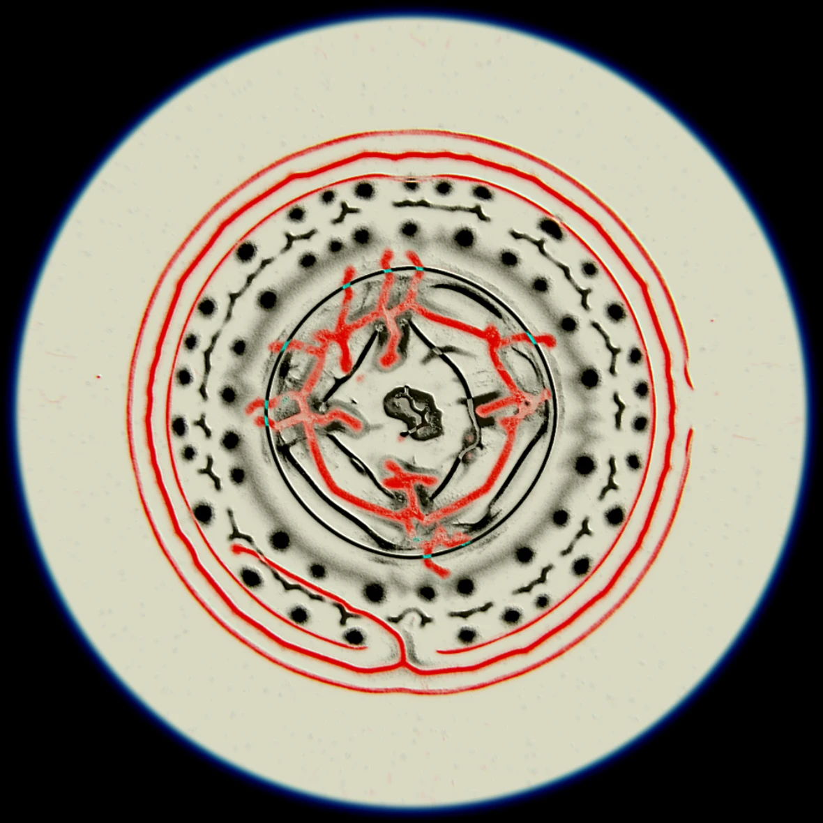 Ethereal Microcosm by ciphrd — A cross-sectional diagram of simulated microbial growth rendered with concentric red annotation lines overlaid on black and white imagery.