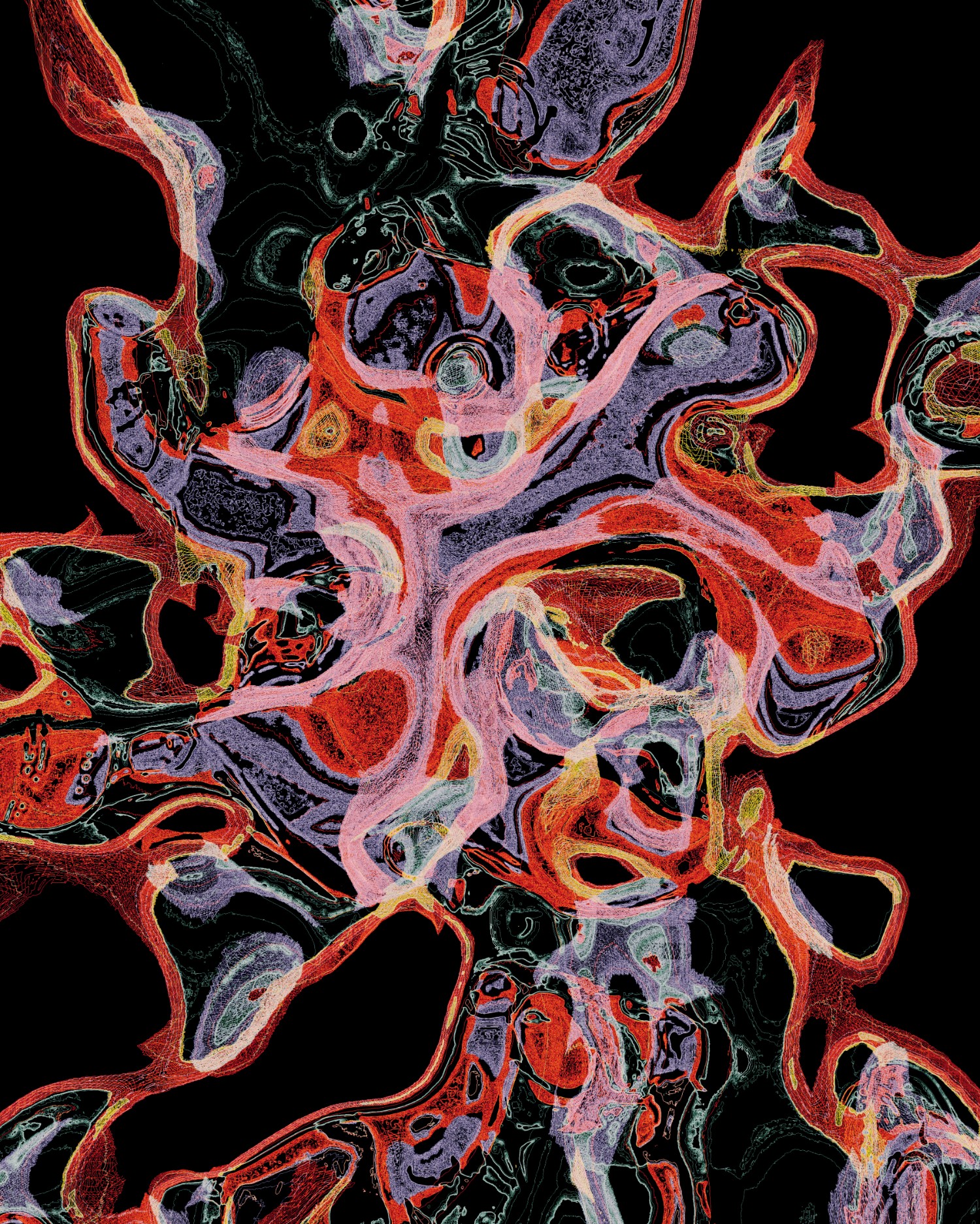 Selected generative works by qubibi — A computational visualization generated by qubibi displaying radially symmetrical organic structures rendered in high-contrast luminescence against pure black.