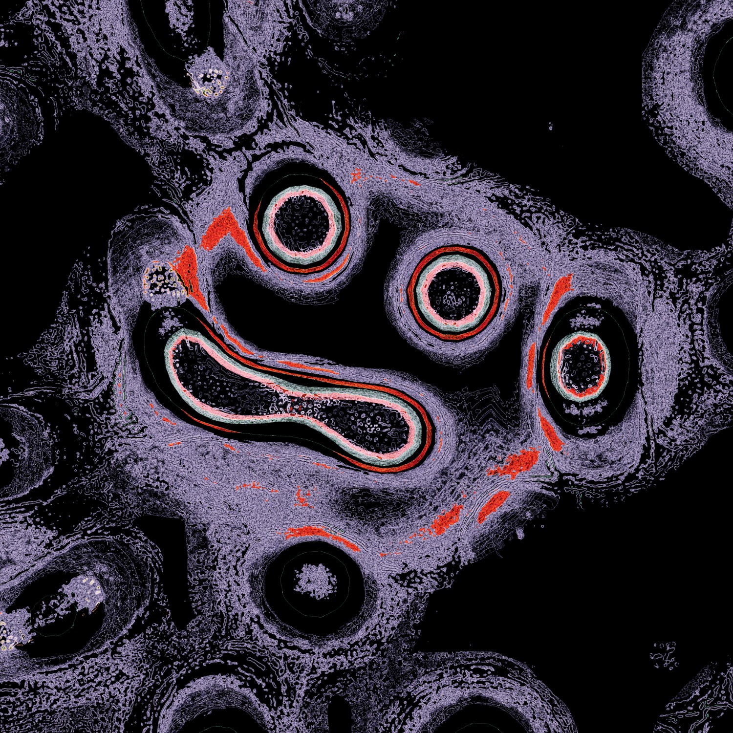 Selected generative works by qubibi — A computational cross-section rendering reveals concentric circular bands outlined in grayscale with algorithmic red and teal overlays mapping internal...