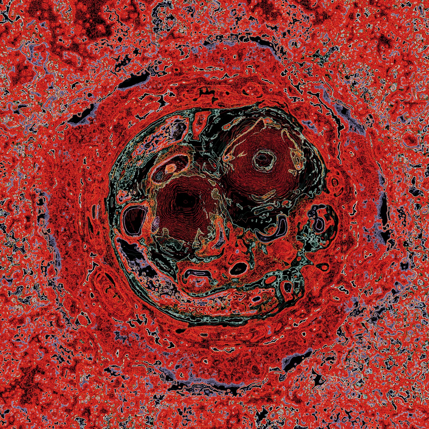 Selected generative works by qubibi — A generative work featuring a centralized circular form with concentric bands rendered in deep burgundy and black, surrounded by algorithmic contour mapping...