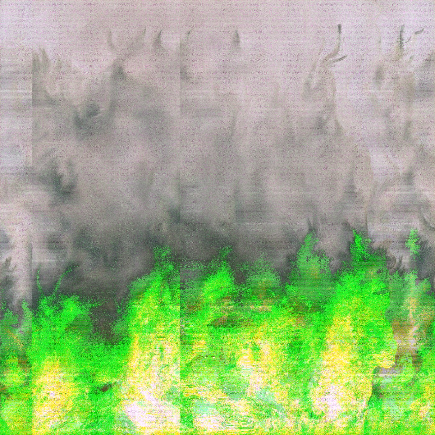 Mythic Latent Glitches by Ivona Tau — GAN-generated forest rendered across two distinctly corrupted zones.