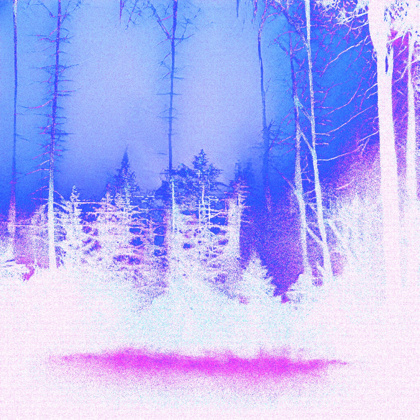 Mythic Latent Glitches by Ivona Tau — Ivona Tau's GAN-generated forest landscape undergoes systematic digital degradation in this 2022 work.