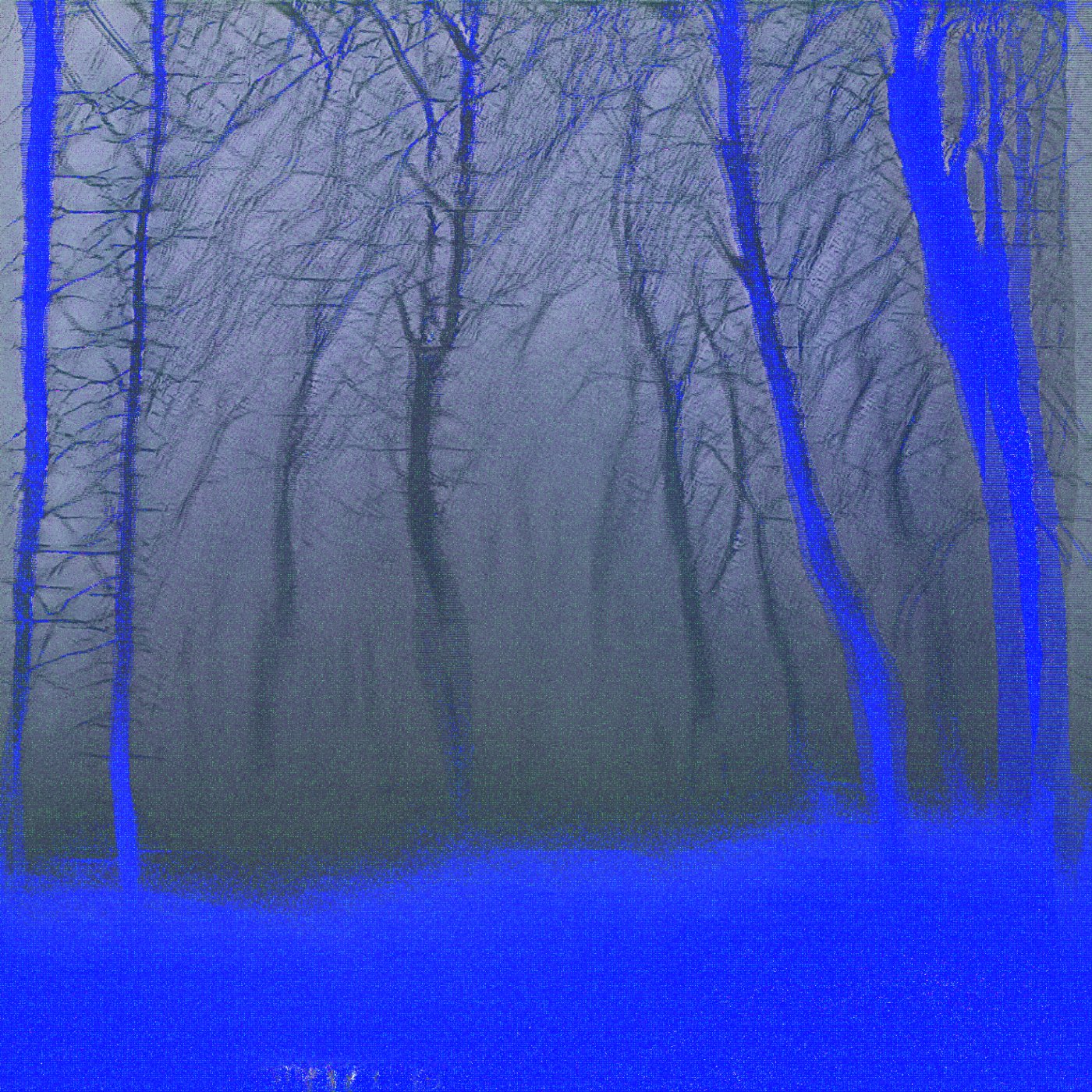 Mythic Latent Glitches by Ivona Tau — A digitally corrupted forest landscape split into two distinct zones by a sharp horizontal demarcation line.