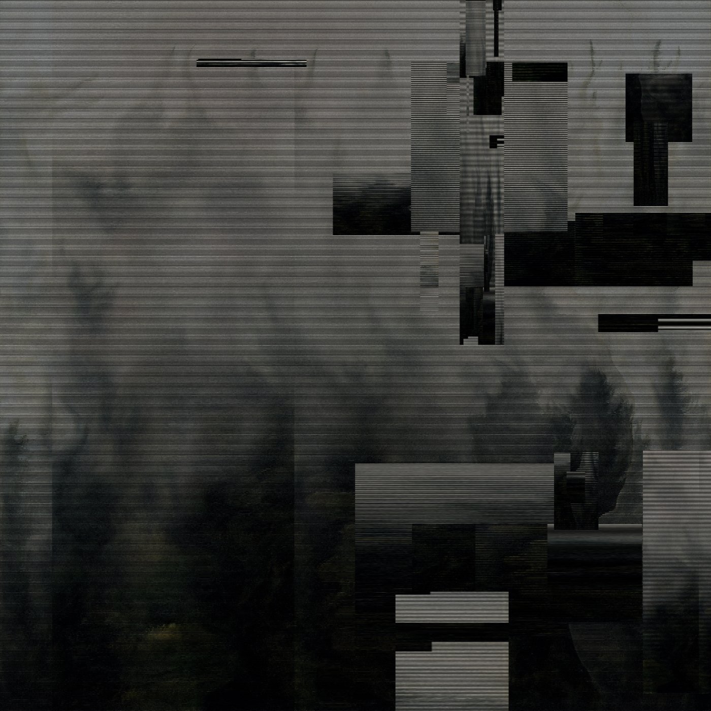 Mythic Latent Glitches by Ivona Tau — GAN-generated forest landscape subjected to progressive digital destruction ascending from bottom to top.