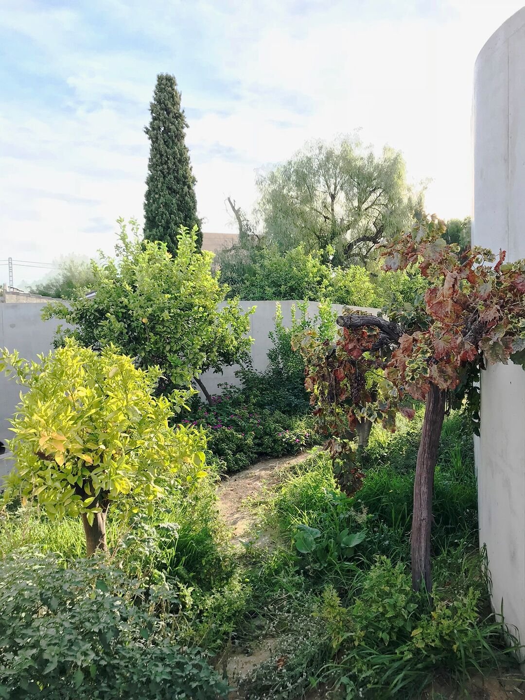 Casa Toto by grupo aranea, concrete, architecture, familyhouse, garden