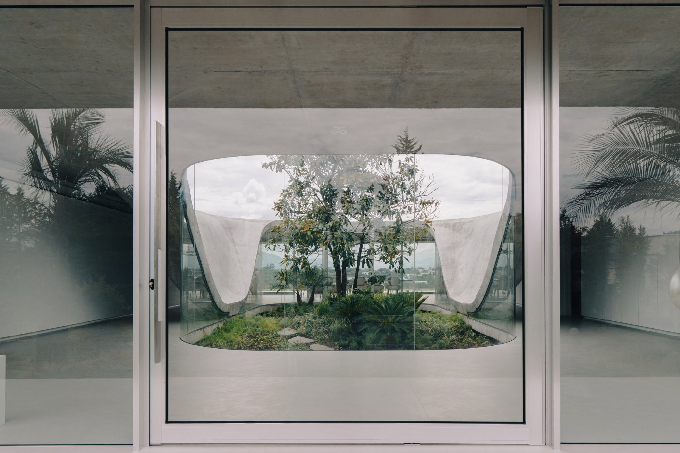 Magnolia House by Estudio Felipe Escudero — A view through floor-to-ceiling glass frames the project's central courtyard garden, where a mature magnolia tree anchors the composition.
