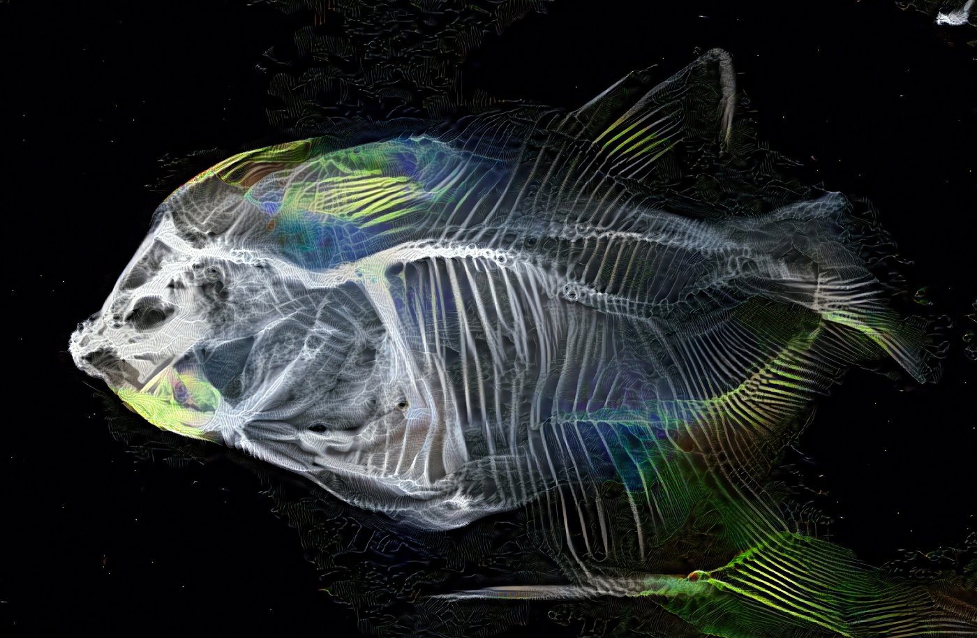 Selected AI works by Sofia Crespo, AI, digital, art, organic, GAN