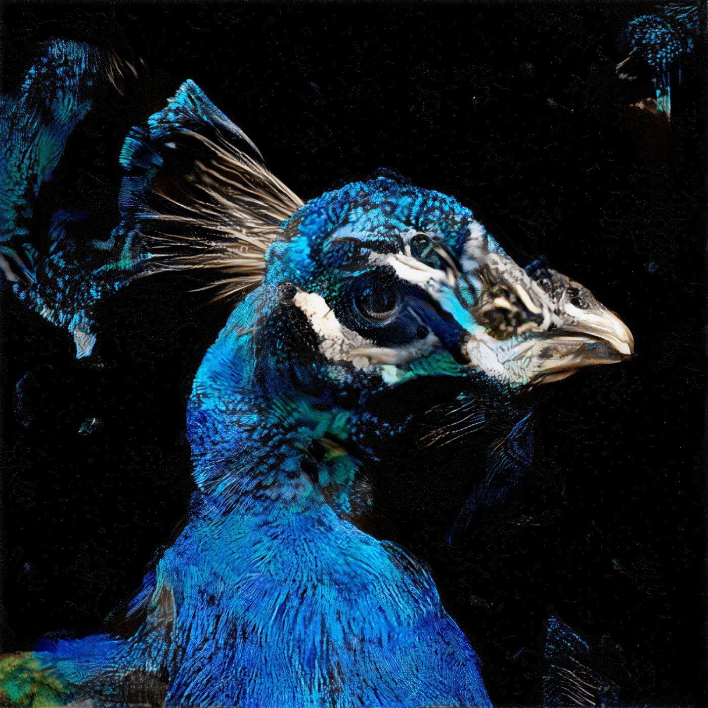 Selected AI works by Sofia Crespo, AI, digital, art, organic, GAN