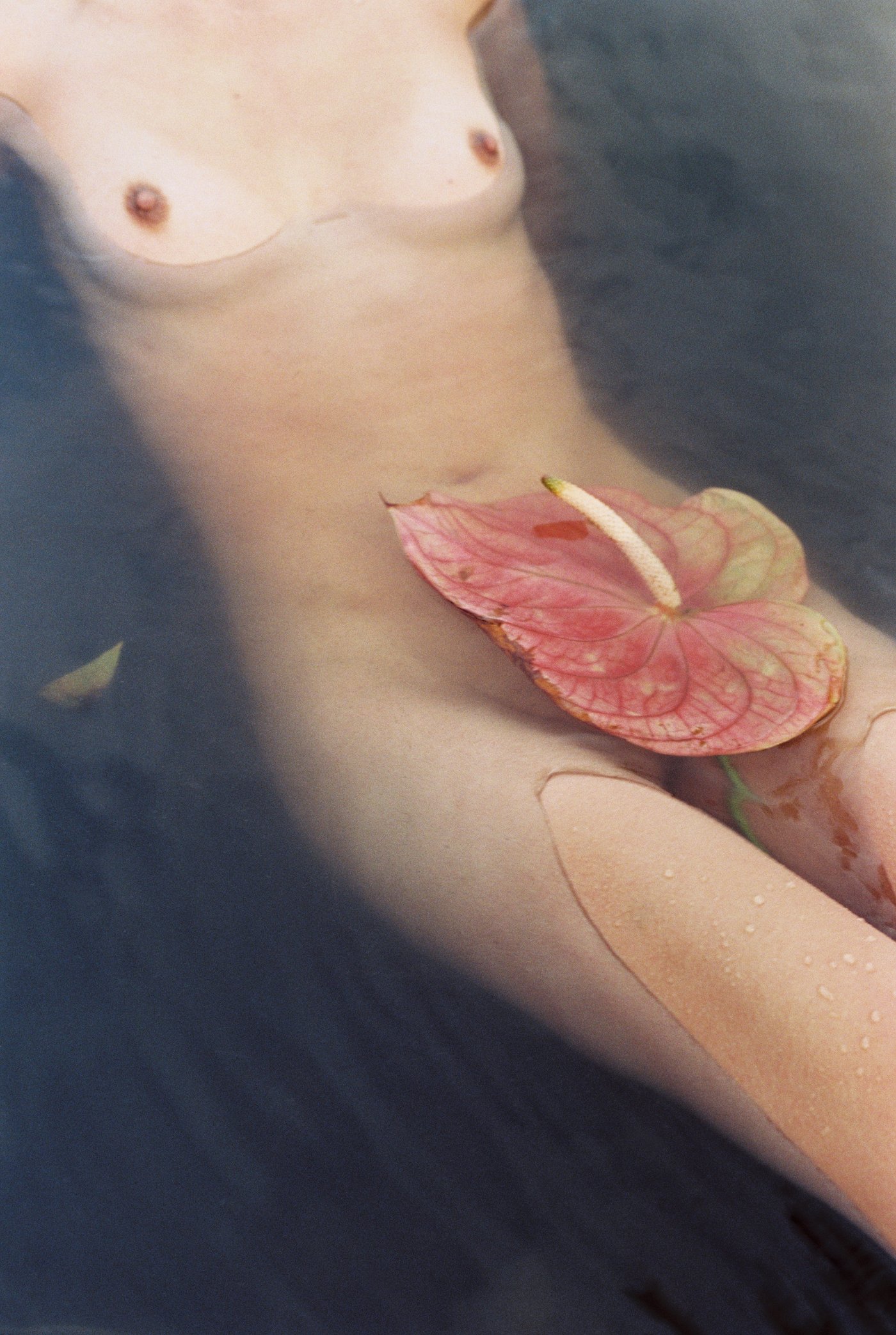 NFT Authenticated Photography by Urth Art, NFT, digital, gallery