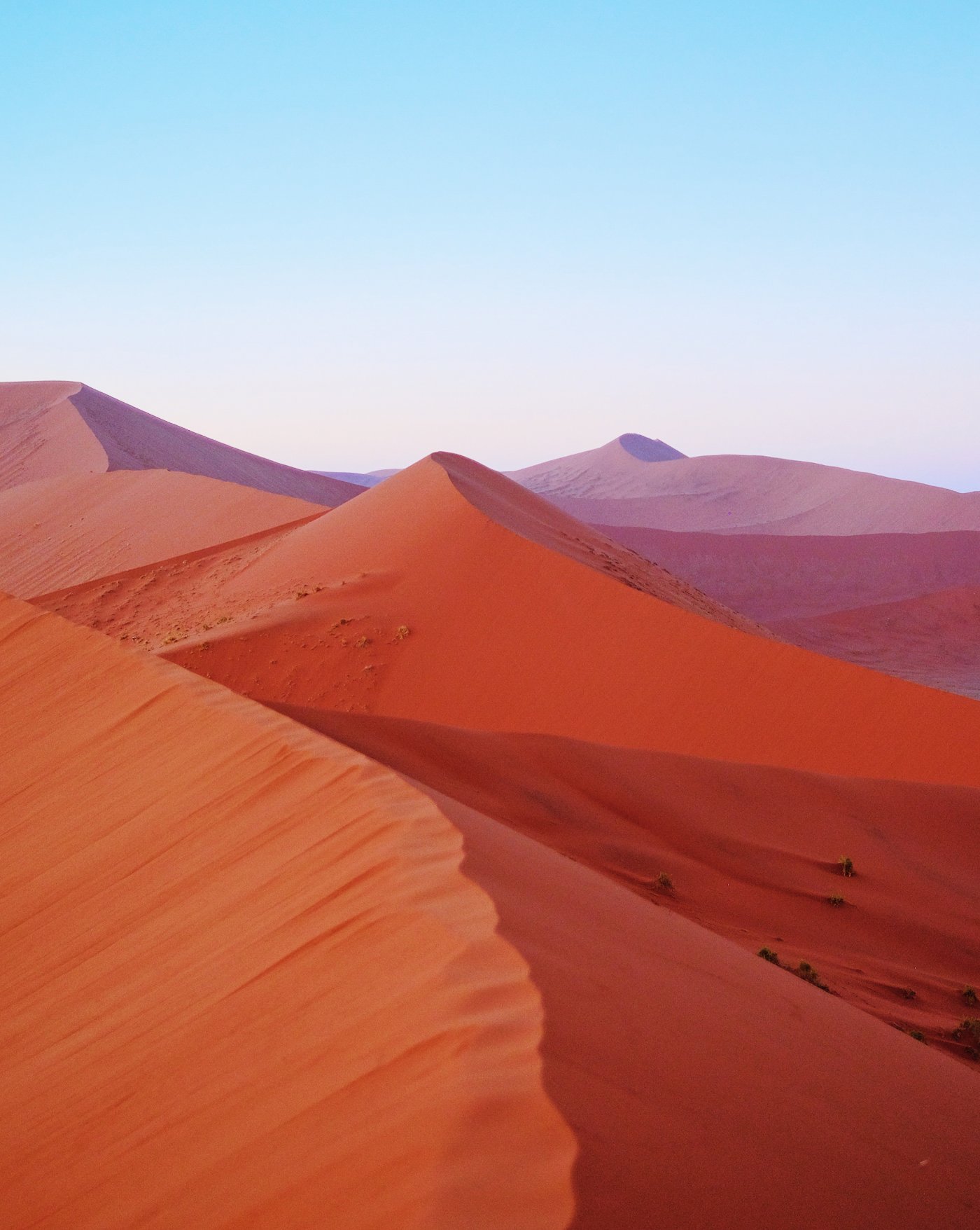 NFT Authenticated Photography by Urth Art, NFT, digital, gallery