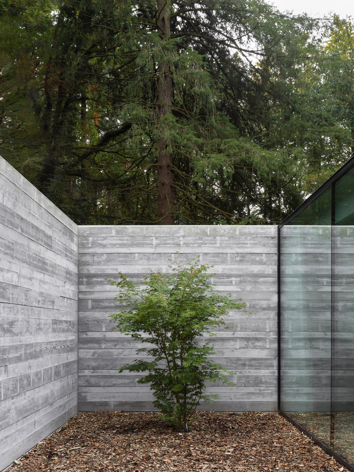 Villa BA by gosseye + verbeke — A contained courtyard demonstrates the project's dual-facade strategy, with board-formed concrete walls creating horizontal striations that frame a single...