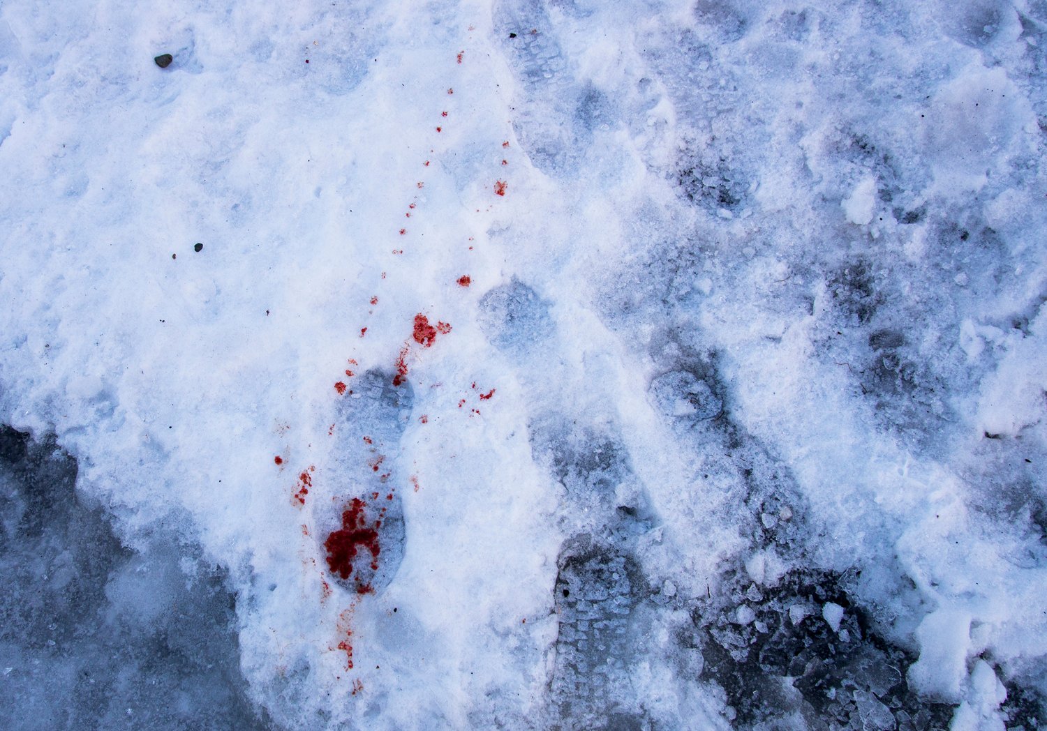 Liminals of the Far North by Lorna Mackay, climatechange, landscape, photography