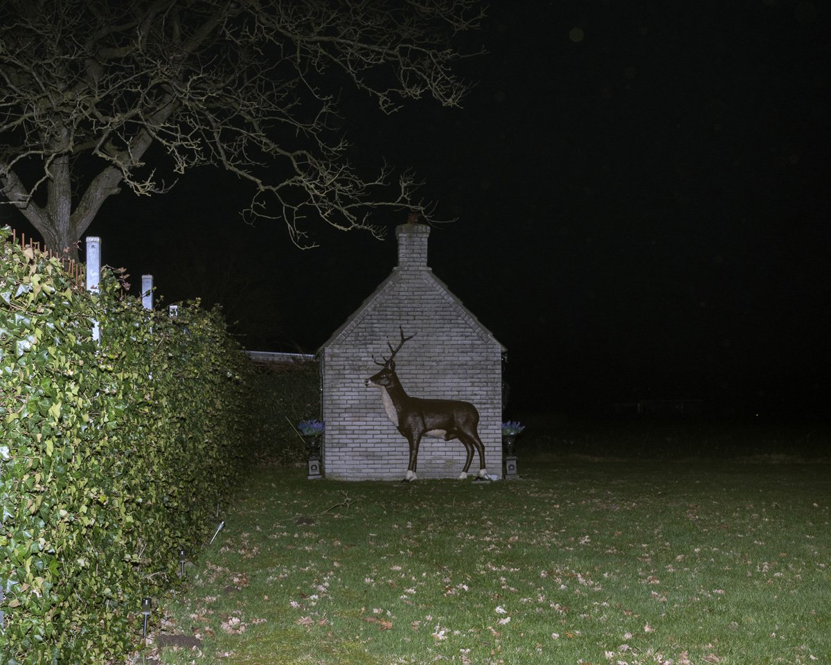 Wild Goose Chase by Marinos Tsagkarakis, documentary, photography, surrealism
