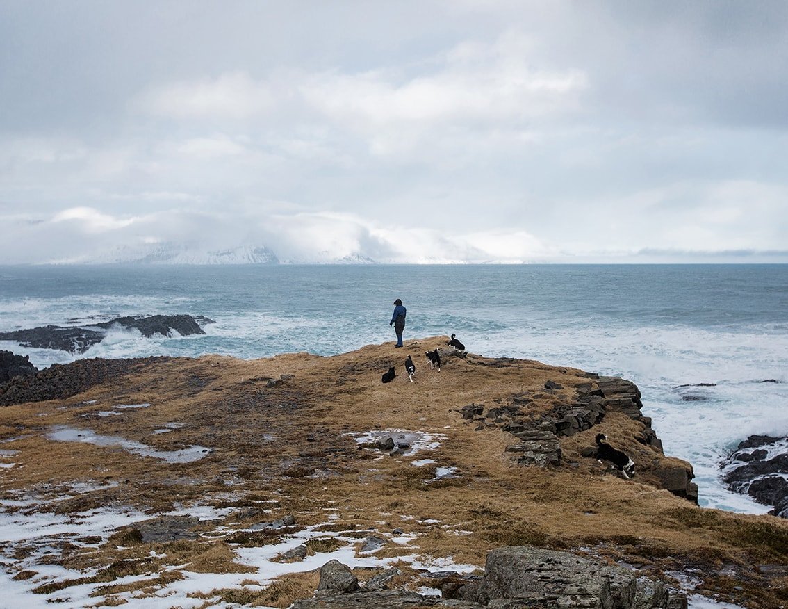The Weather Report by Marzena Skubatz — A solitary figure stands on a moss-covered basalt outcrop overlooking the North Atlantic, with two dogs at the cliff edge.