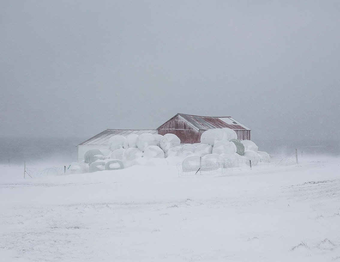 The Weather Report by Marzena Skubatz — A corrugated metal-roofed barn structure emerges from deep snow accumulation in Iceland's interior, its rust-patinated steel roof contrasting against the...