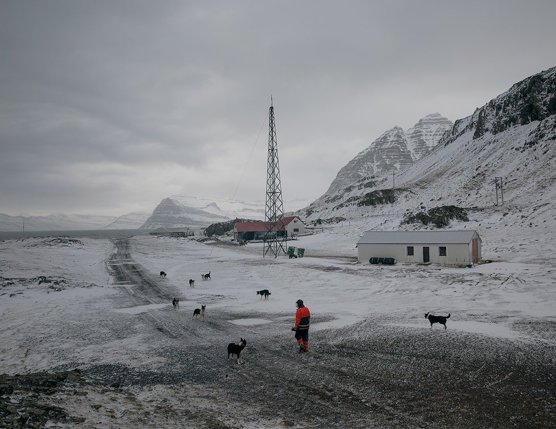 The Weather Report by Marzena Skubatz — A woman in a red jacket tends to a pack of black sled dogs scattered across a snow-covered plateau in Marsibil, Iceland.