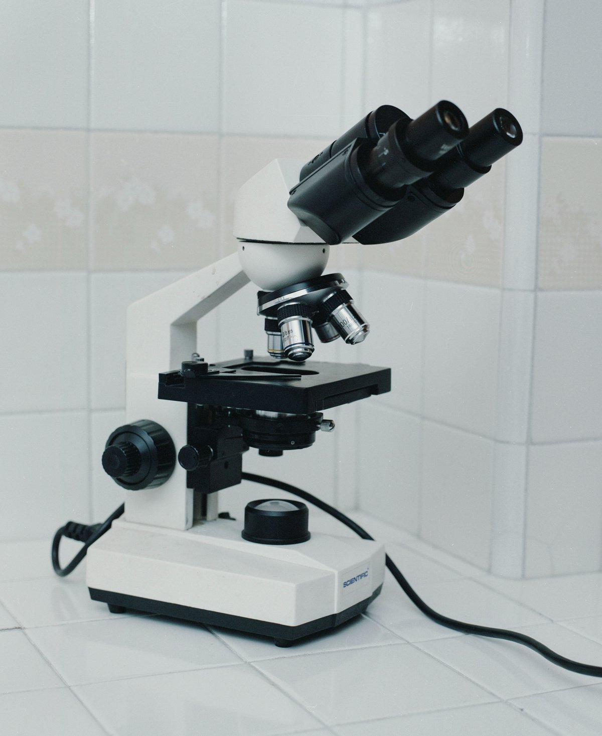 'Las Dos Hebras' by June Juno, personal, photography, documentary, art