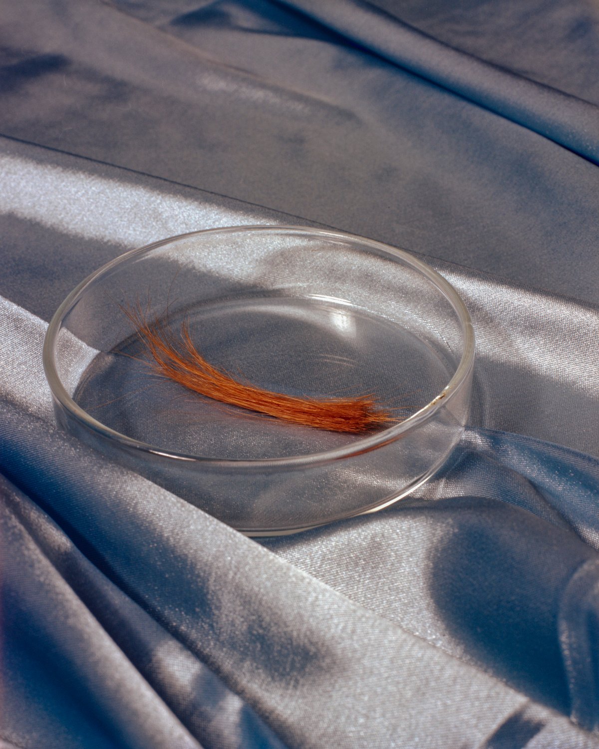 'Las Dos Hebras' by June Juno, personal, photography, documentary, art