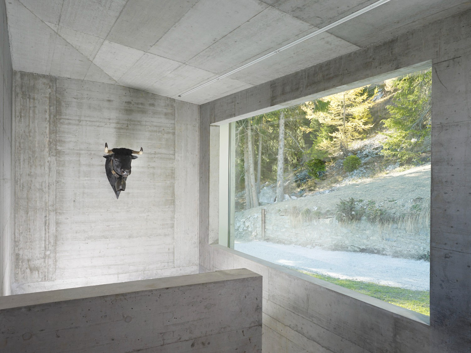 Community Shelter by frundgallina — Interior view of concrete shelter opening onto forested slope.