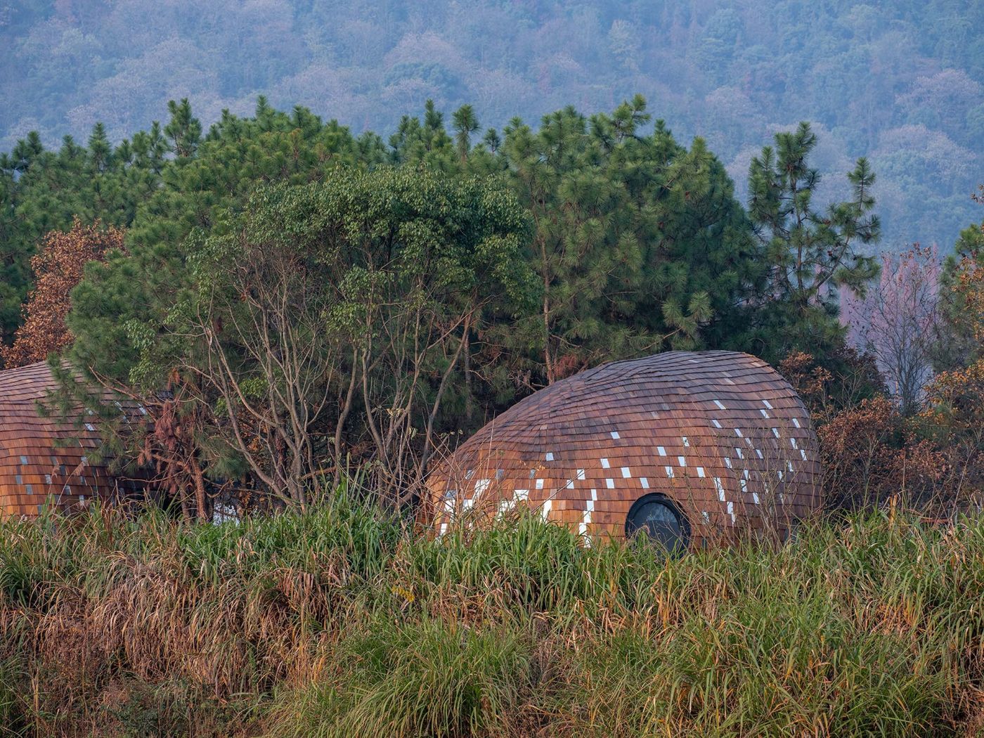 The Seeds Houses by ZJJZ Atelier — A terracotta-tiled dome emerges from dense forest undergrowth, its curved surface studded with rectangular white panels.