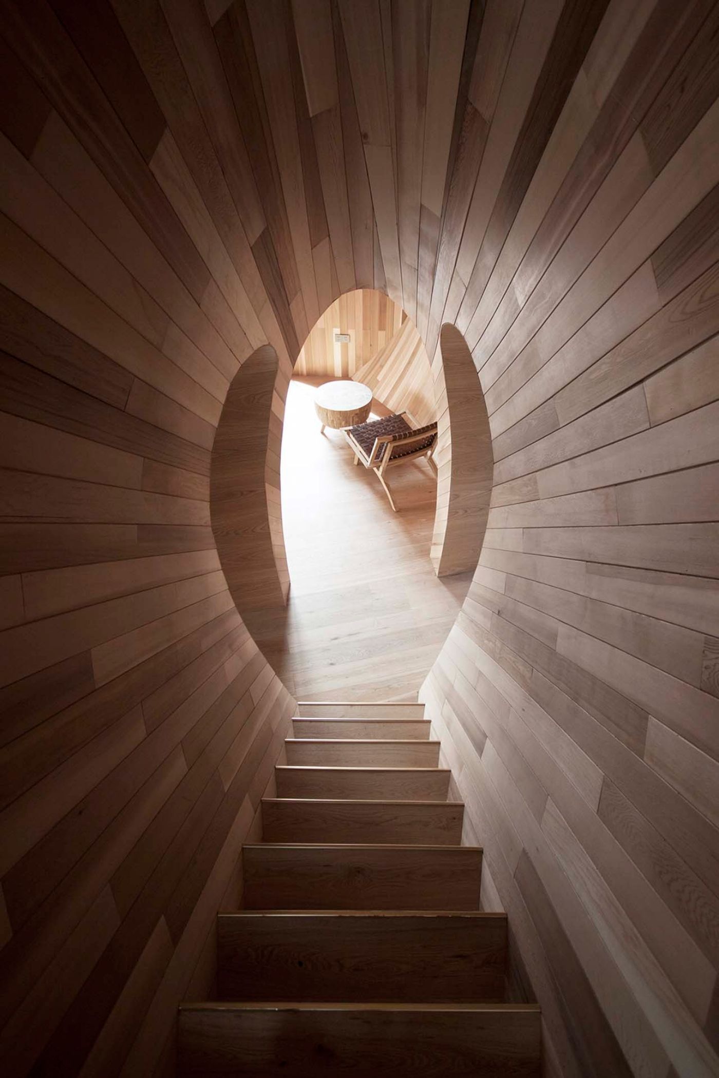 The Seeds Houses by ZJJZ Atelier — A view up a wooden staircase from within the Seeds Houses reveals the ellipsoidal threshold opening that frames the upper interior space beyond.