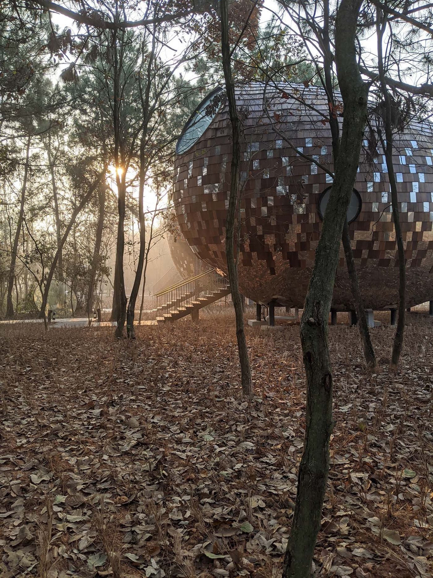 The Seeds Houses by ZJJZ Atelier — Ellipsoidal structure clad in mirrored aluminum tiles rises among mature forest trees, its reflective upper surface fragmenting views of surrounding canopy...