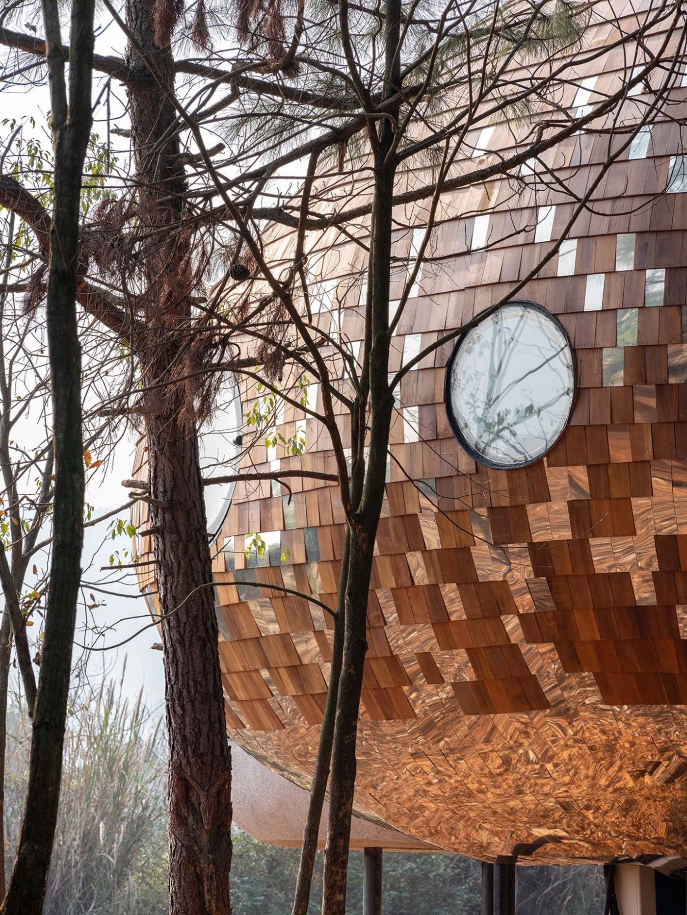 The Seeds Houses by ZJJZ Atelier — Bare deciduous trees frame a curved facade clad in mirrored aluminum tiles arranged in a checkerboard pattern.