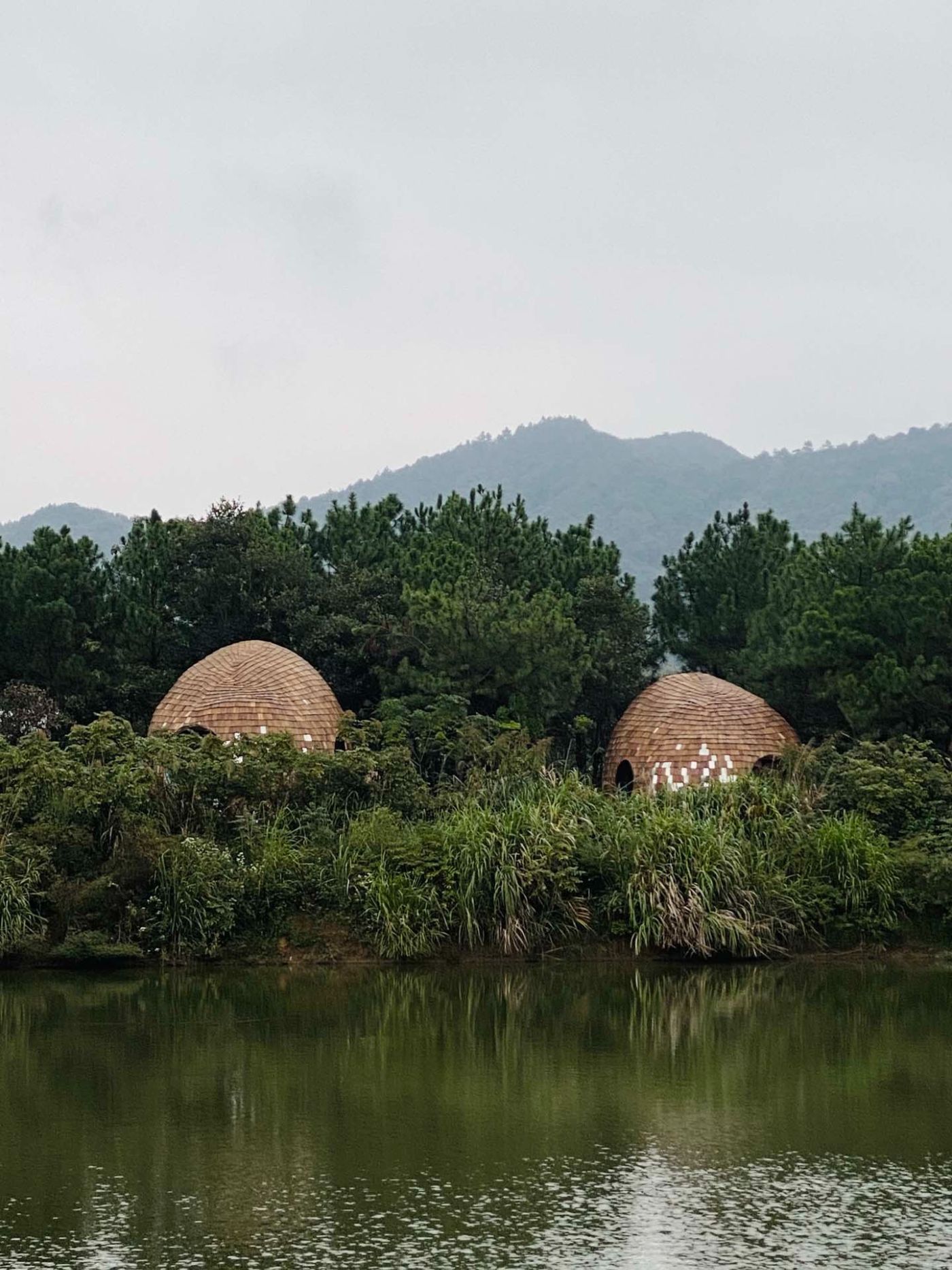 The Seeds Houses by ZJJZ Atelier — Two ellipsoidal structures with golden-brown wooden shingle cladding emerge from dense riverside vegetation, their forms echoing natural seed pods.