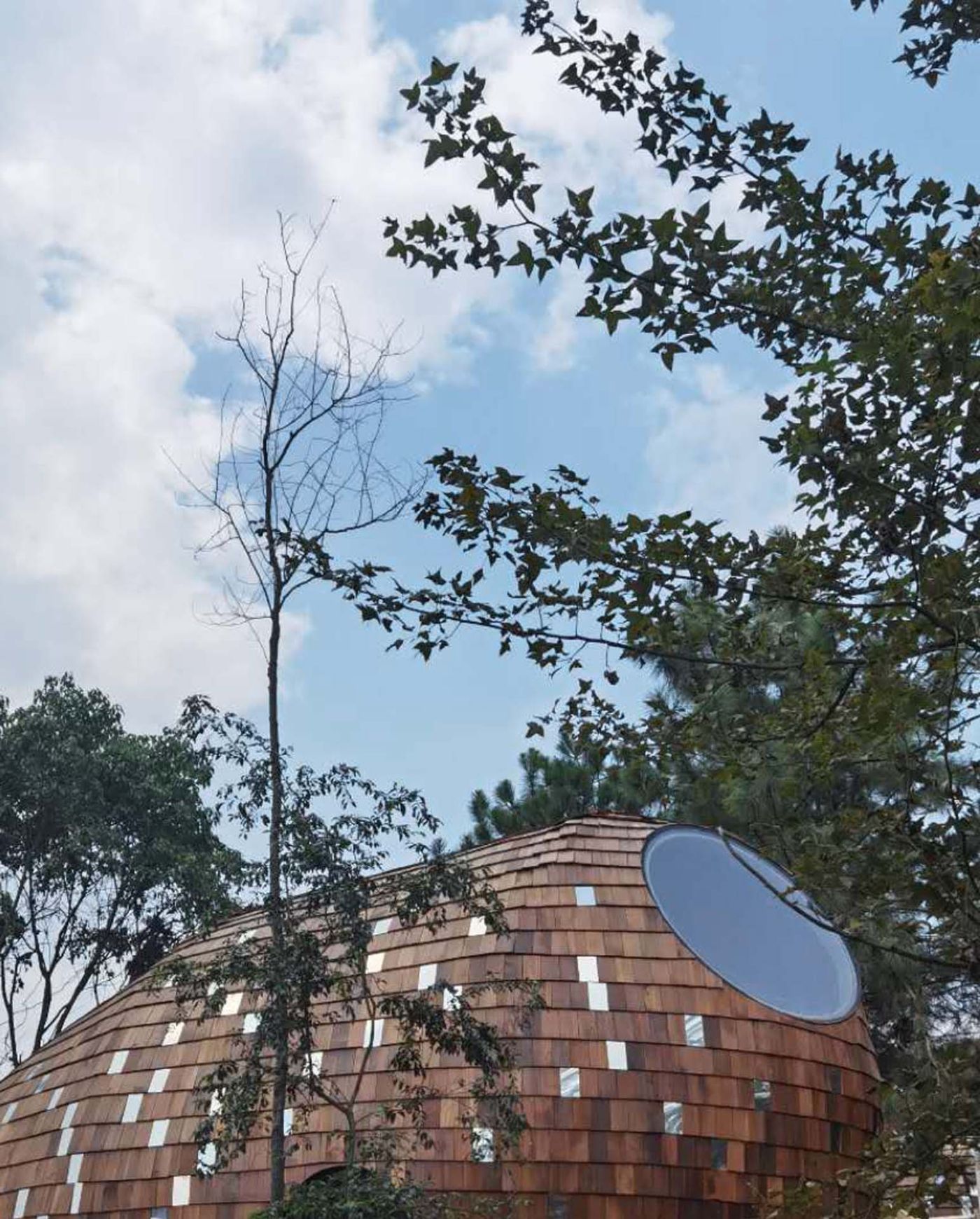 The Seeds Houses by ZJJZ Atelier — A curved timber-shingle facade clad in warm brown wood dominates the foreground, punctuated by rectangular aluminum panel insets across its surface.