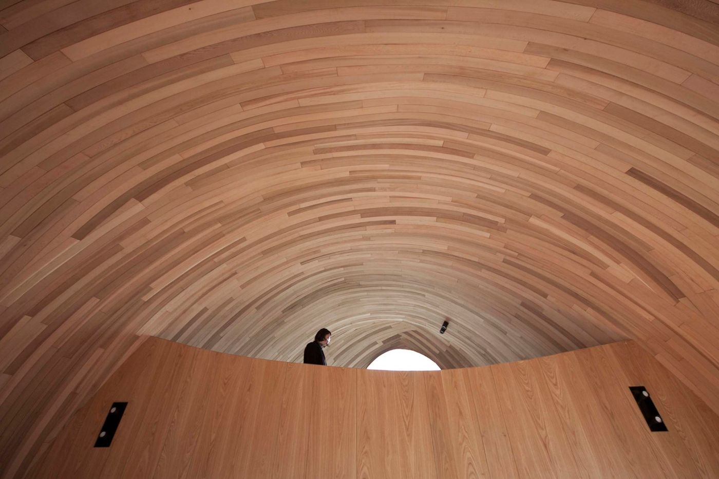 The Seeds Houses by ZJJZ Atelier — Interior view of one of the Seeds Houses reveals the architectural strategy organizing the ellipsoidal volume.