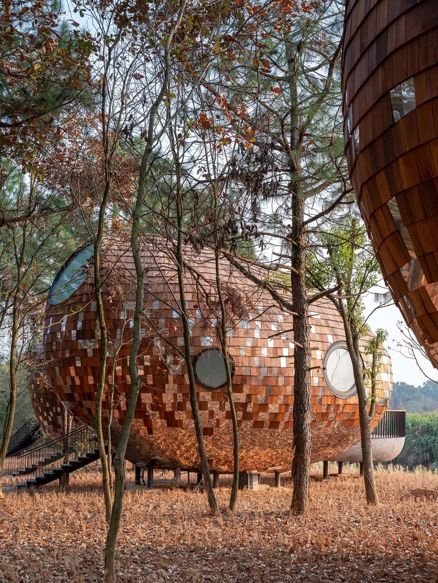 The Seeds Houses by ZJJZ Atelier — A massive ellipsoidal structure clad in warm terracotta tile emerges from a forest floor carpeted in fallen autumn leaves.