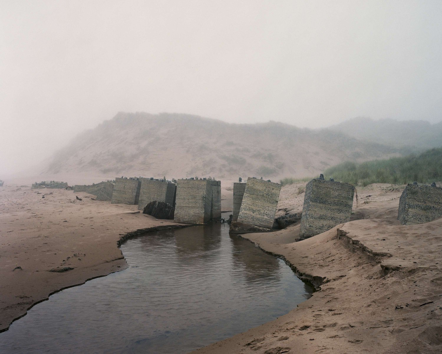 The Last Stand by Marc Wilson, documentary, photography, landscape