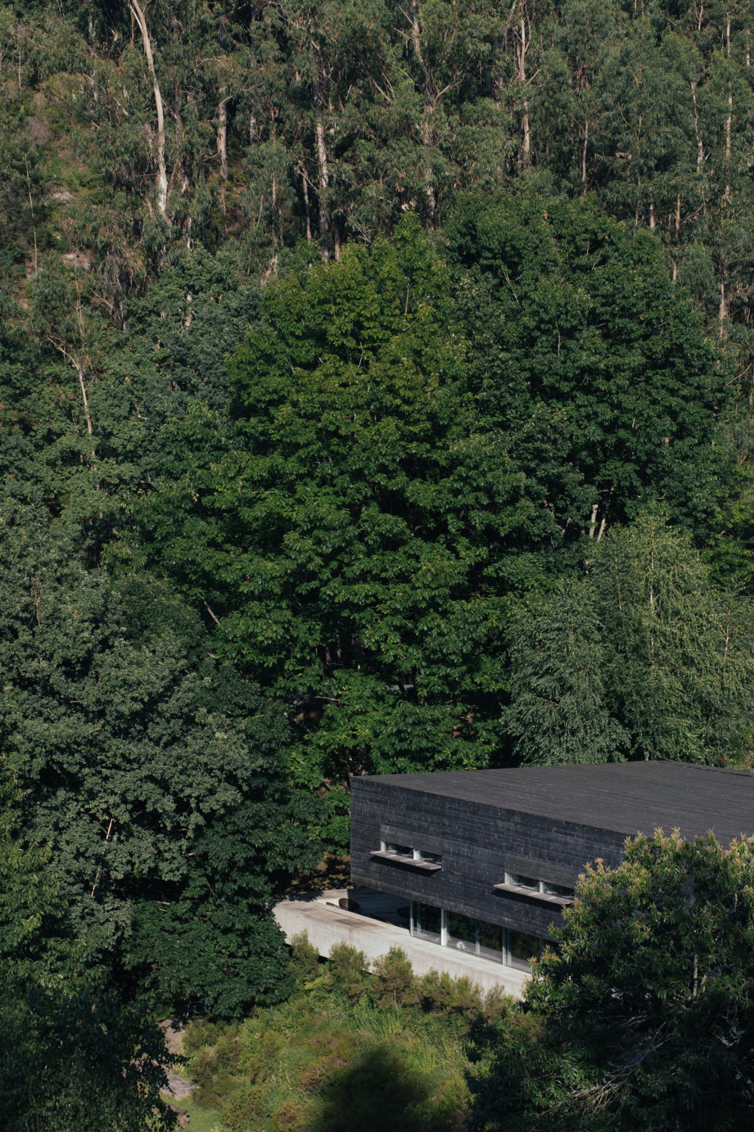 Otiima House captured by Thisispaper Studio, portugal, holiday-house, concrete, architecture, interiors