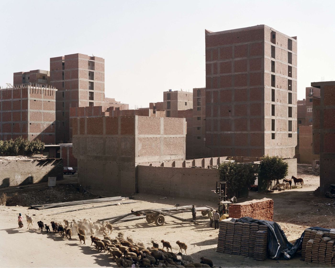 Selected works by Bas Princen, photography, nature, documentary, travel, urban