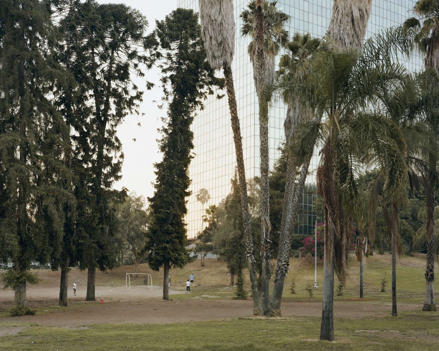 Selected works by Bas Princen, photography, nature, documentary, travel, urban