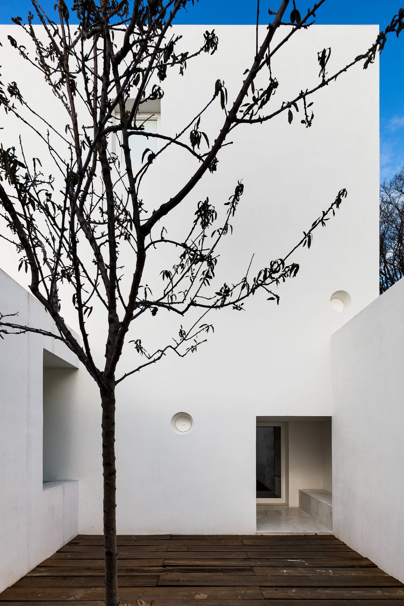House in Alfama by Matos Gameiro Arquitectos by Pedro Matos Gameiro — A rendered white courtyard interior frames a bare deciduous tree planted in dark timber decking.