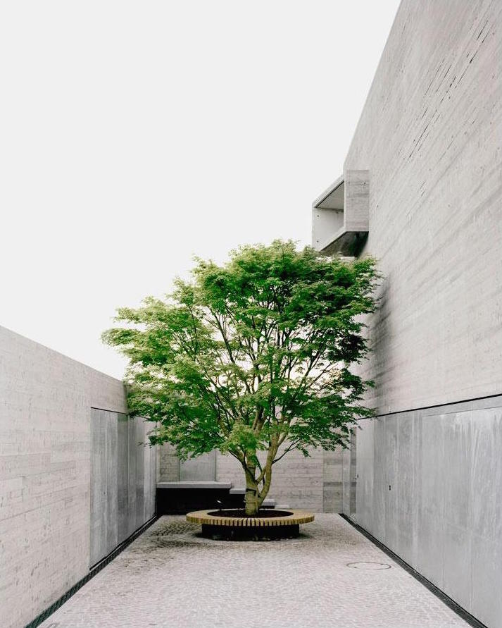 House B by E2A, swiss, concrete, architecture, minimalism, familyhouse