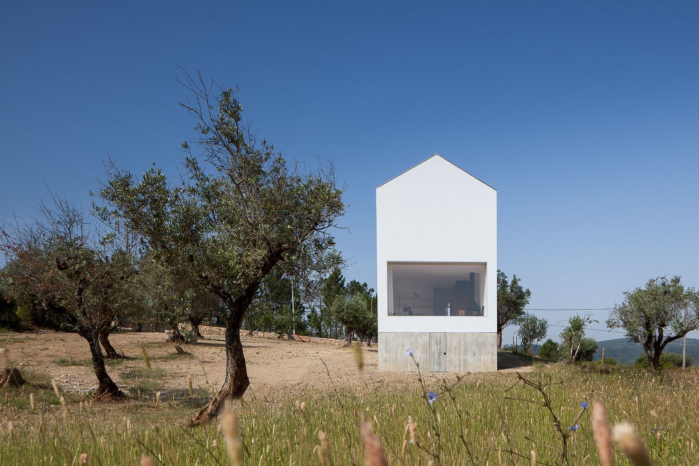 Fonte Boa House by João Mendes Ribeiro — A rendered white pavilion with pitched roof sits elevated on a raw concrete plinth within an olive grove landscape.