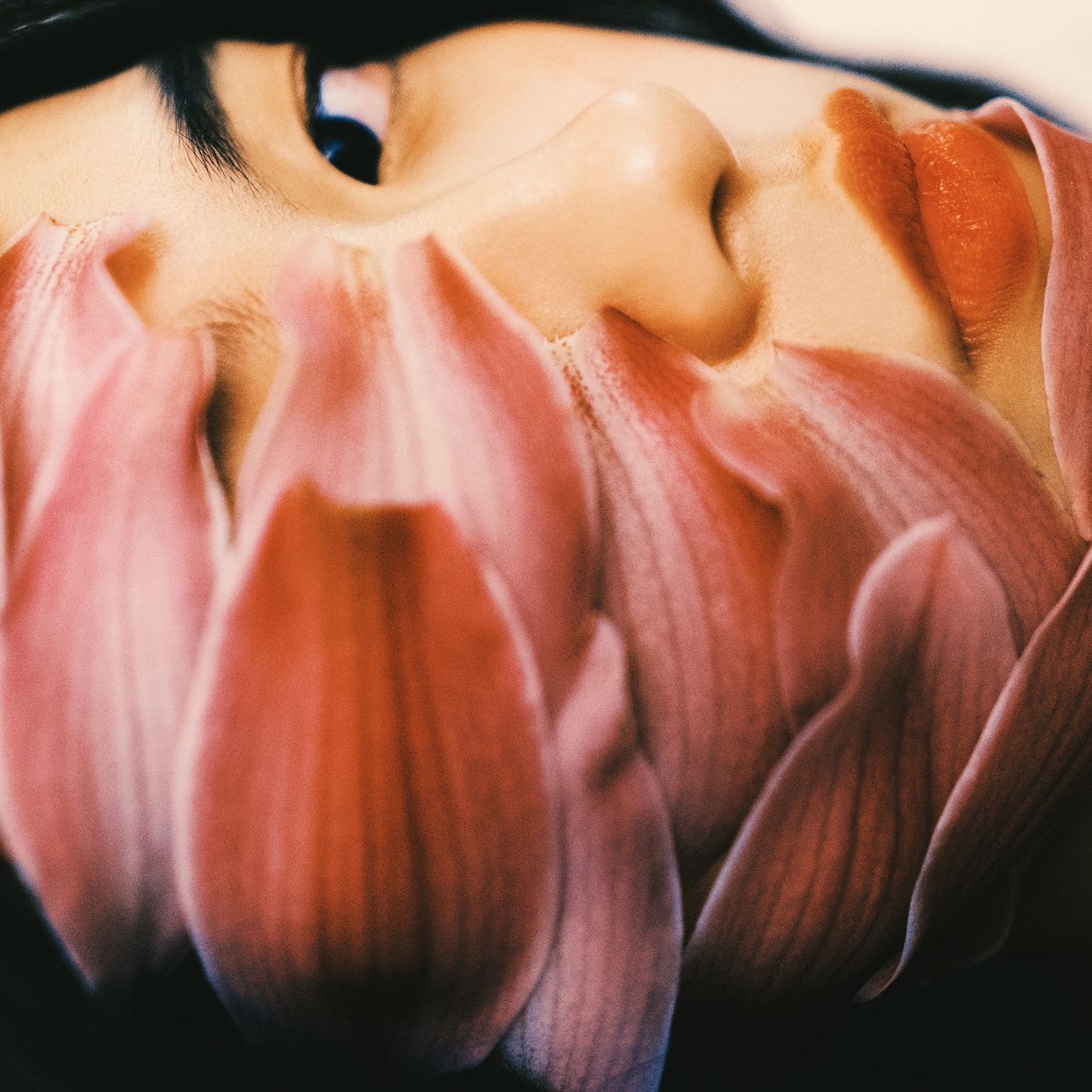 Project 365 by Zhong Lin, colors, photography, documentary, beauty