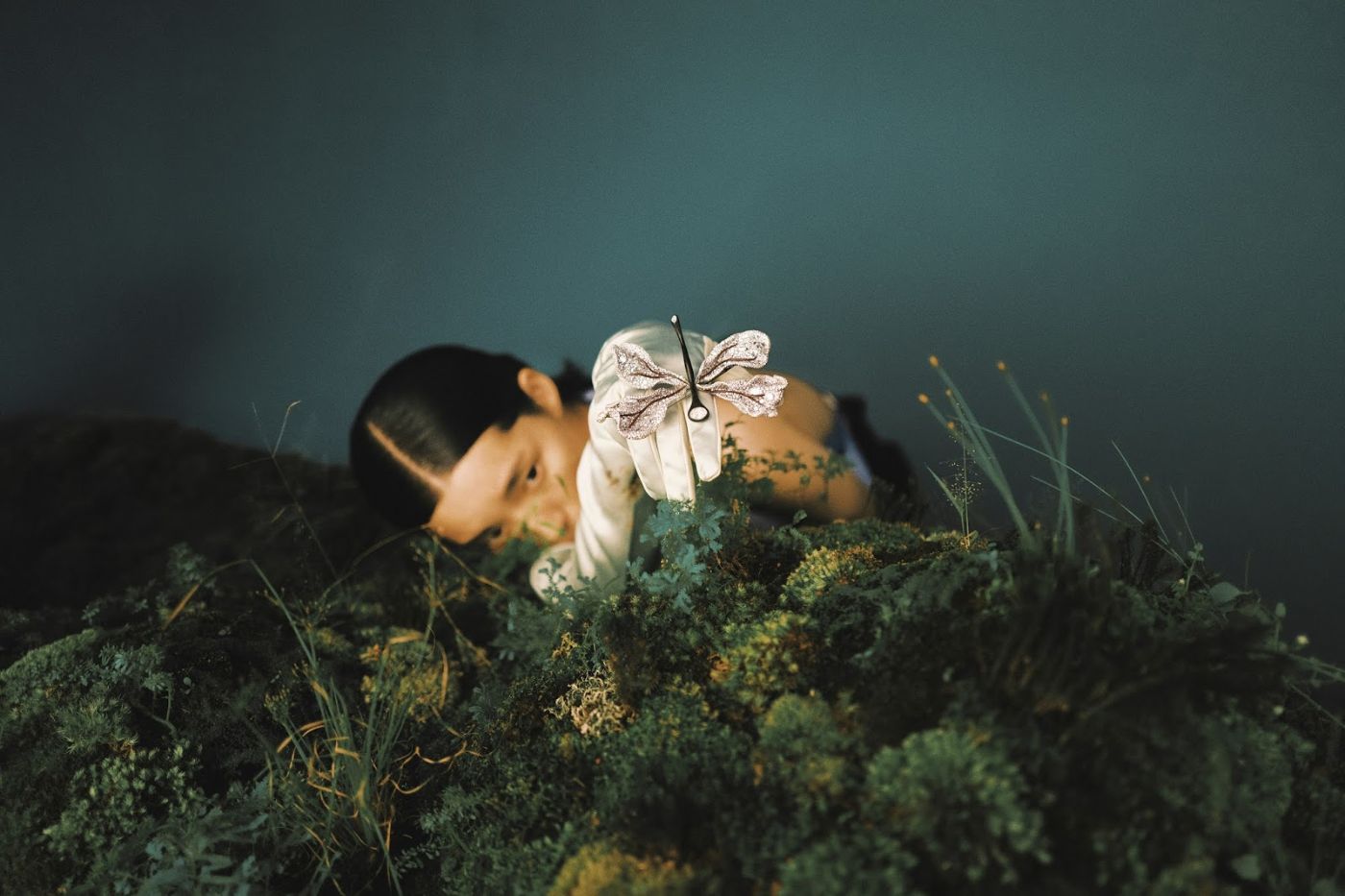 Project 365 by Zhong Lin, colors, photography, documentary, beauty