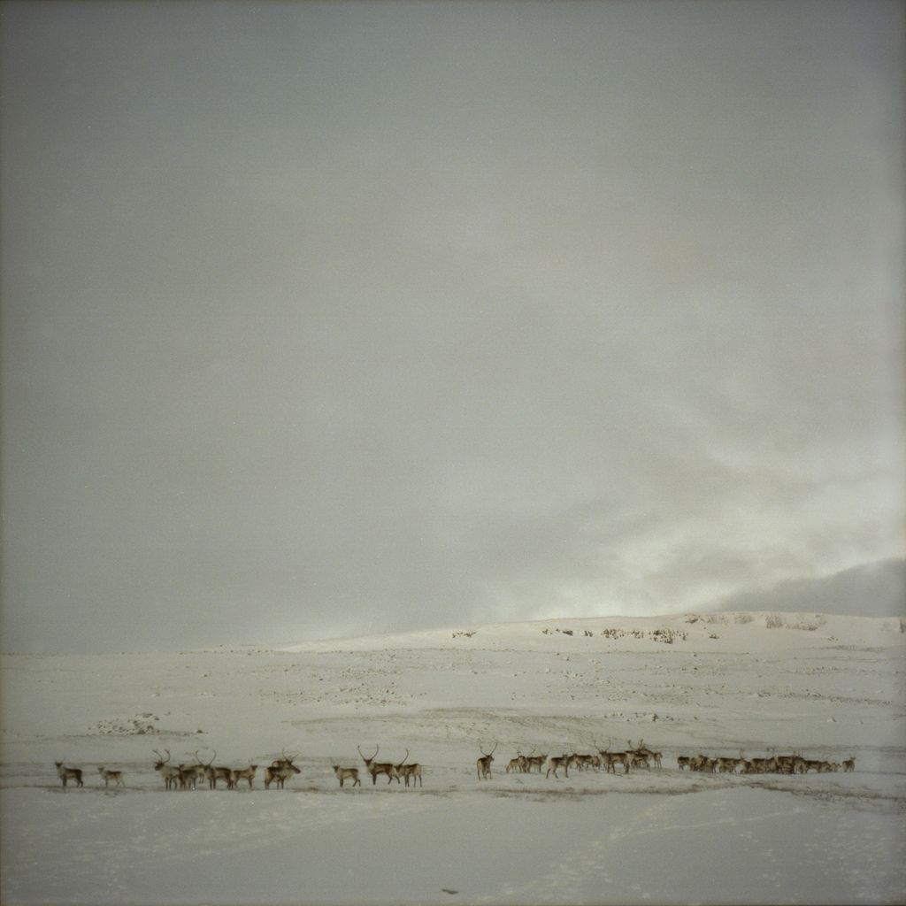 Iceland by Tom Kondrat, landscape, photography, nature, travel
