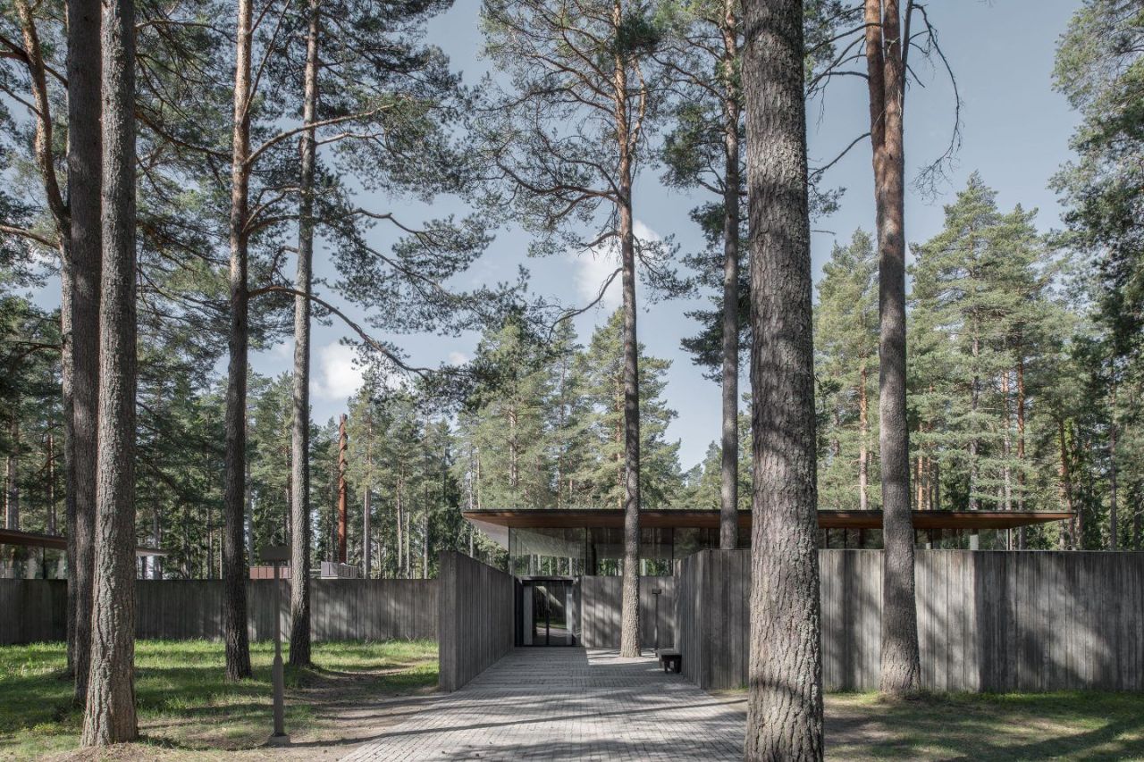 Gävle Crematorium by ELLT captured by Andy Liffner — The Gävle Crematorium emerges from a forest floor where massive pine trunks interrupt the brick paving, creating a dramatic threshold between landscape and...