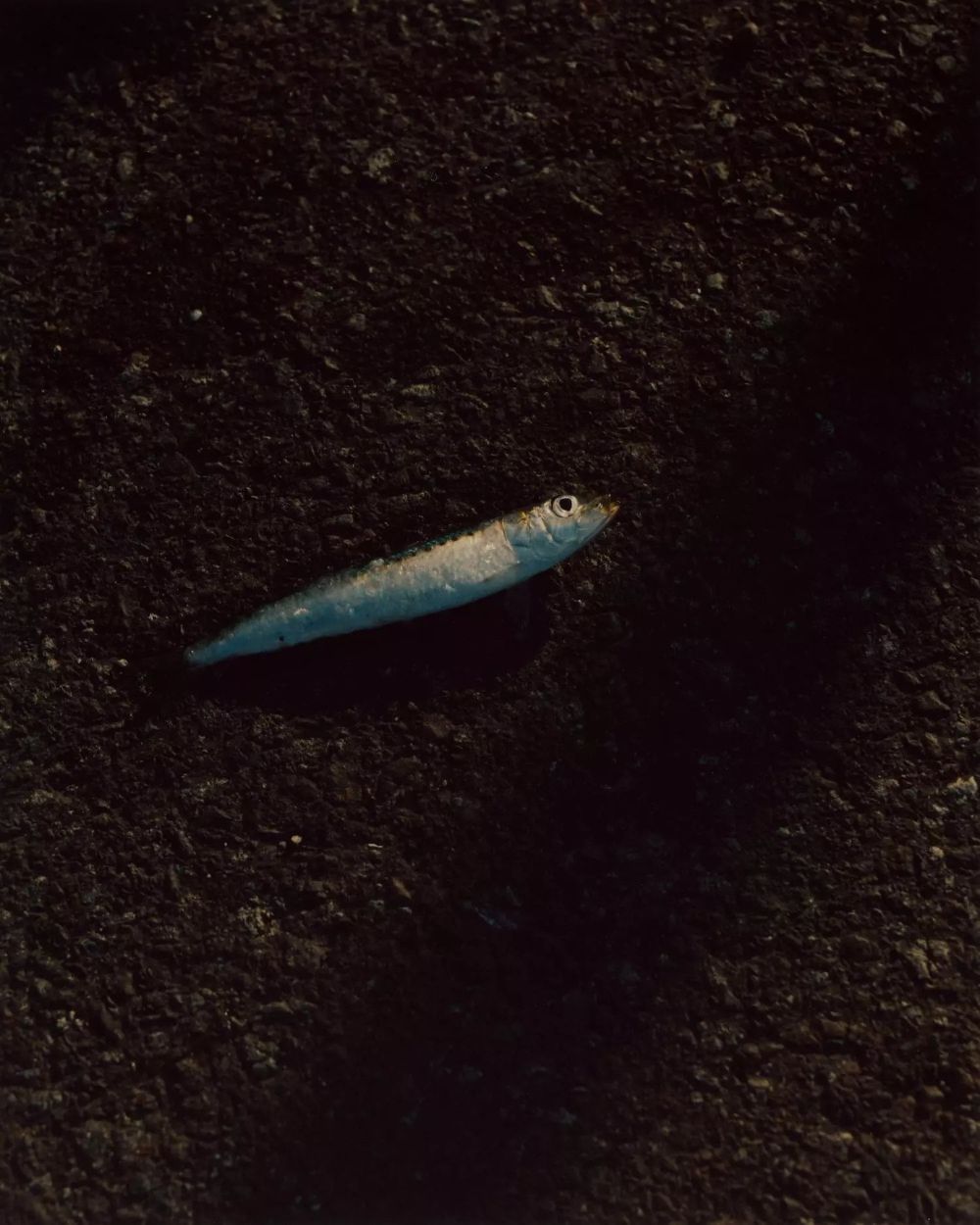 Ama by Stefan Dotter, documentary, photography, travel, portrait