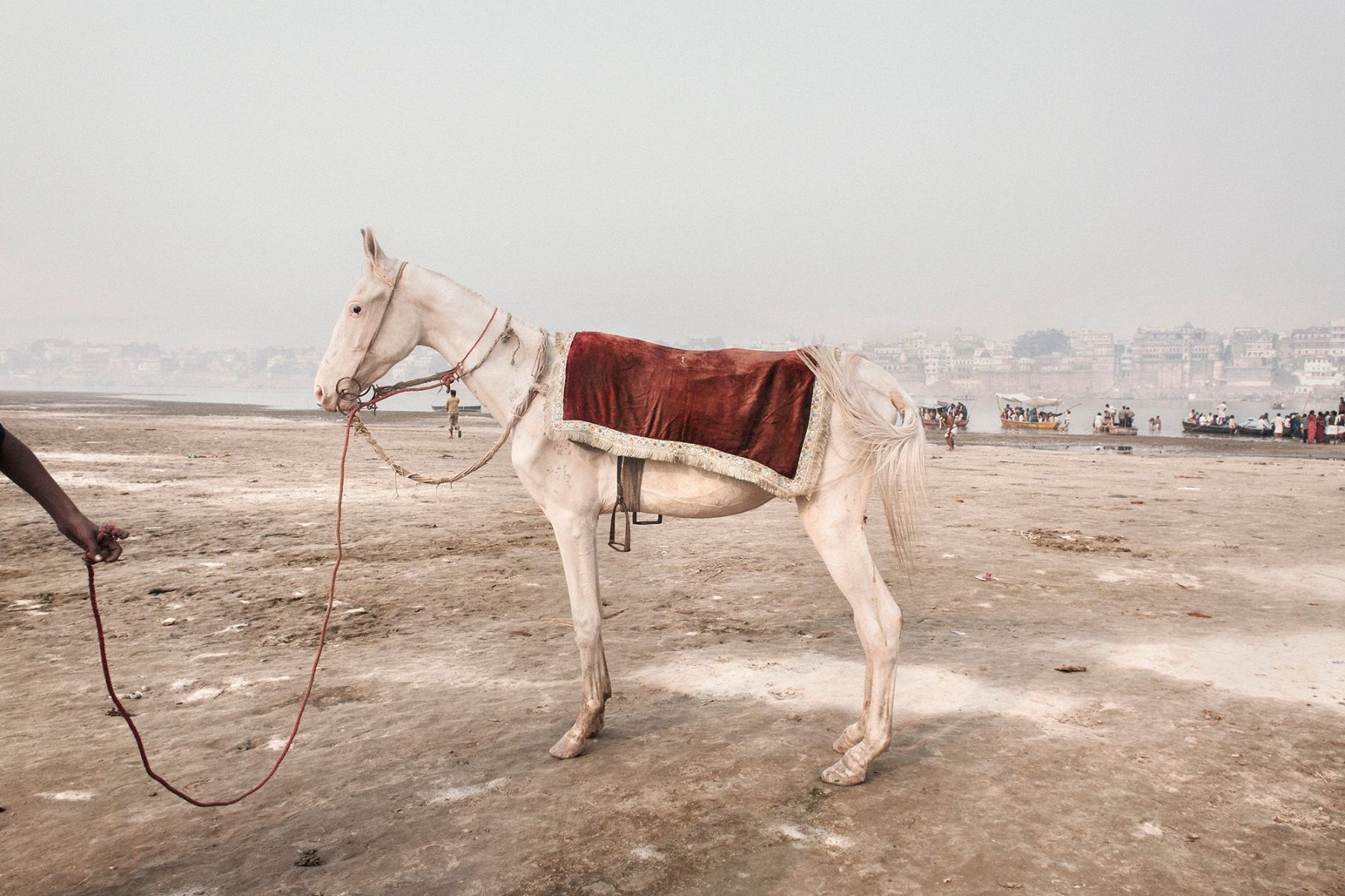 Ganga Ma by Giulio Di Sturco — A cream-colored horse stands saddled on the exposed riverbed of the Ganges, wearing a burgundy velvet cloth with cream trim and metal stirrups.