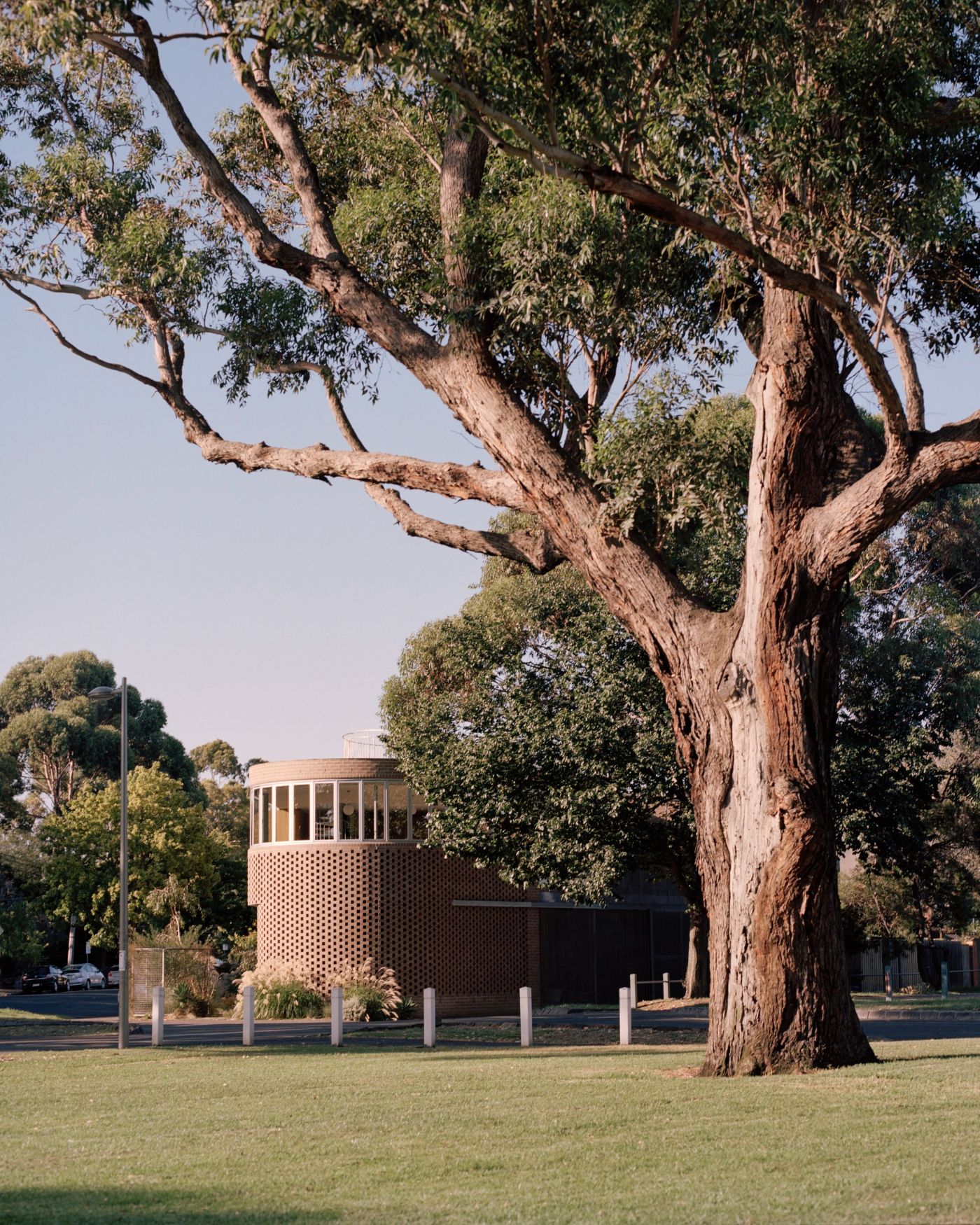 Rose House by Baracco+Wright Architects — A cylindrical brick tower with horizontal perforated banding occupies a triangular site in Melbourne's inner suburbs, framed by an ancient eucalyptus tree...